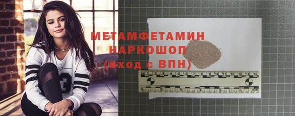 индика Няндома