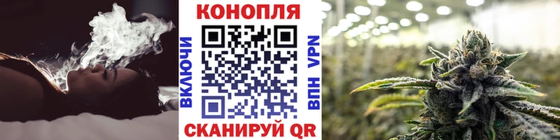 Бошки Шишки AK-47  гидра ONION  Благодарный 